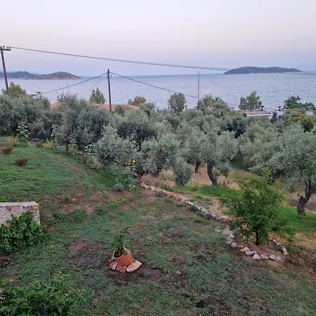 Villa Ftelia Oasis,skiathos Megali Ammos (Skiathos)