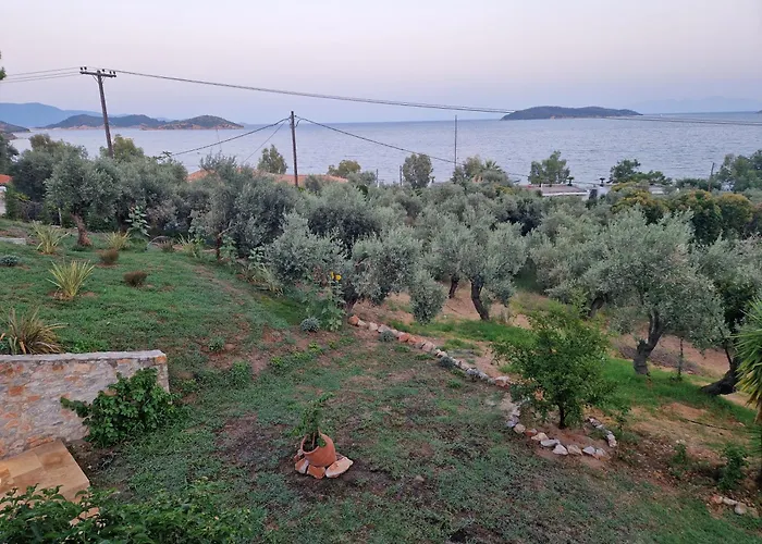 Vilă Ftelia Oasis,skiathos Megali Ammos (Skiathos)